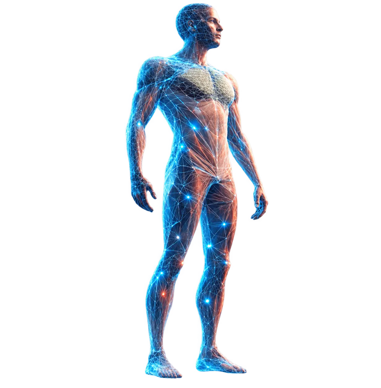 Body Scan collection