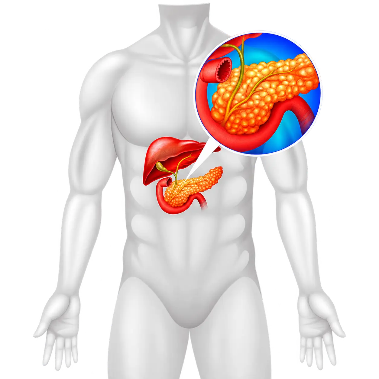 Chronic Condition Protocols collection
